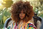 Erykah Badu's Journey: Unveiling Her Net Worth