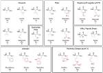 Essential Guide to Polar Amino Acids: Properties and Functions