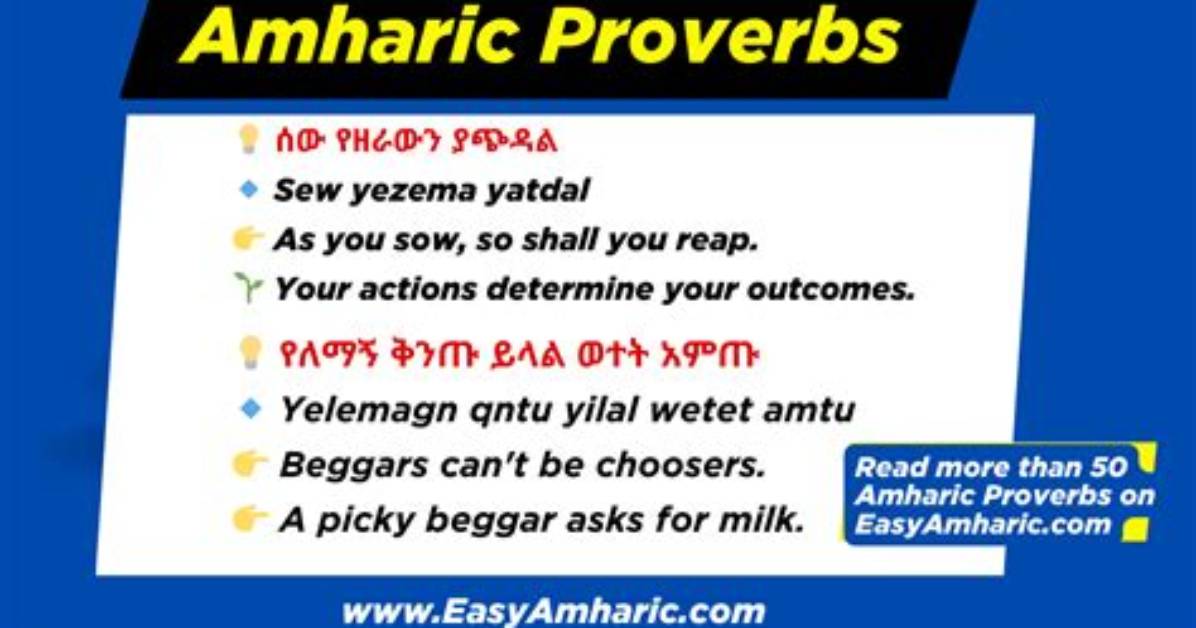 Essential Proverbs in Amharic: Ancient Wisdom for Modern Life