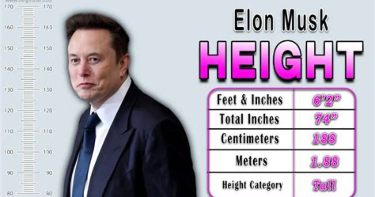 Exploring Elon Musk's Height: How Tall Does the Tesla Ceo Stand?