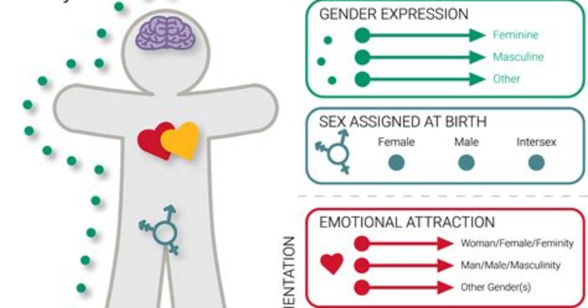 Exploring Her Sexual Orientation and Impact