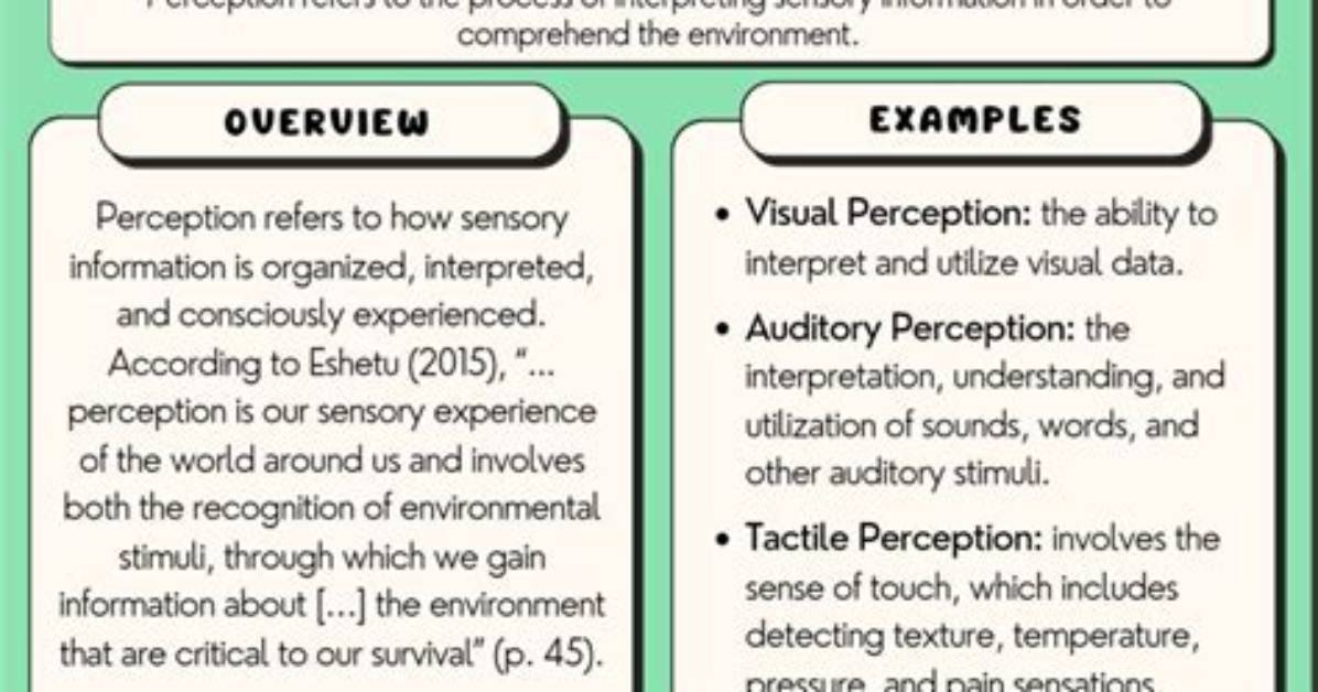 Exploring Influences, Perceptions, and the Person Within