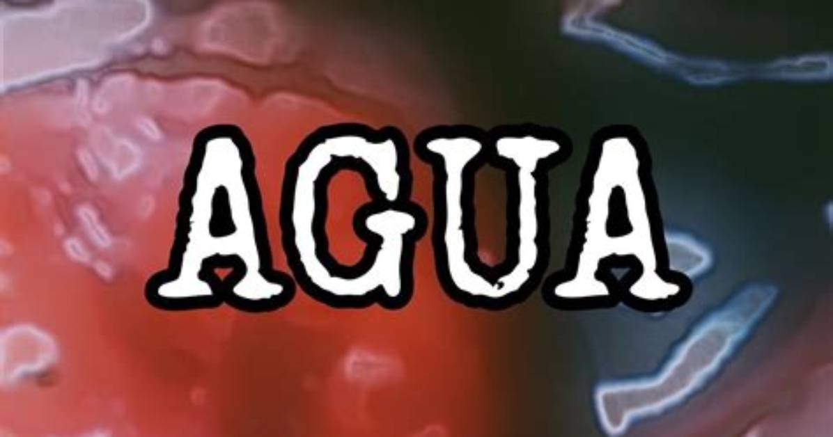 Exploring the Allure of Queiro Agua Gore