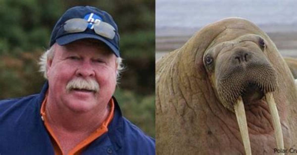 Exploring the Charm of Craig Stadler Walrus: a Unique Persona in Golf