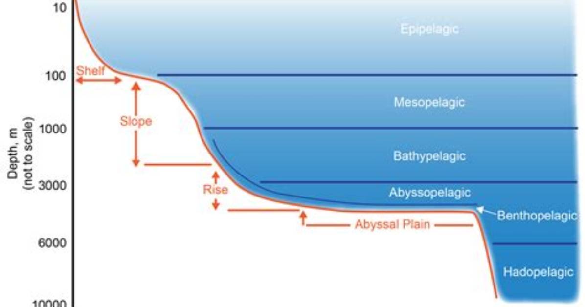 Exploring the Depths of Knowledge at Stevequayle. Com