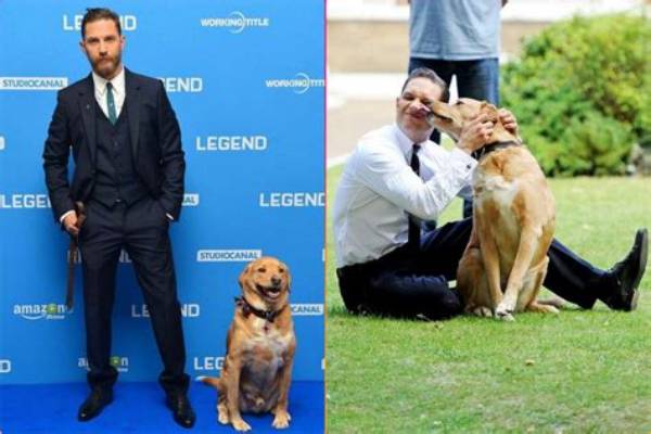 Exploring the Heartwarming World of Tom Hardy's Children