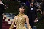 Exploring the Life and Impact of Cardi B's Mother