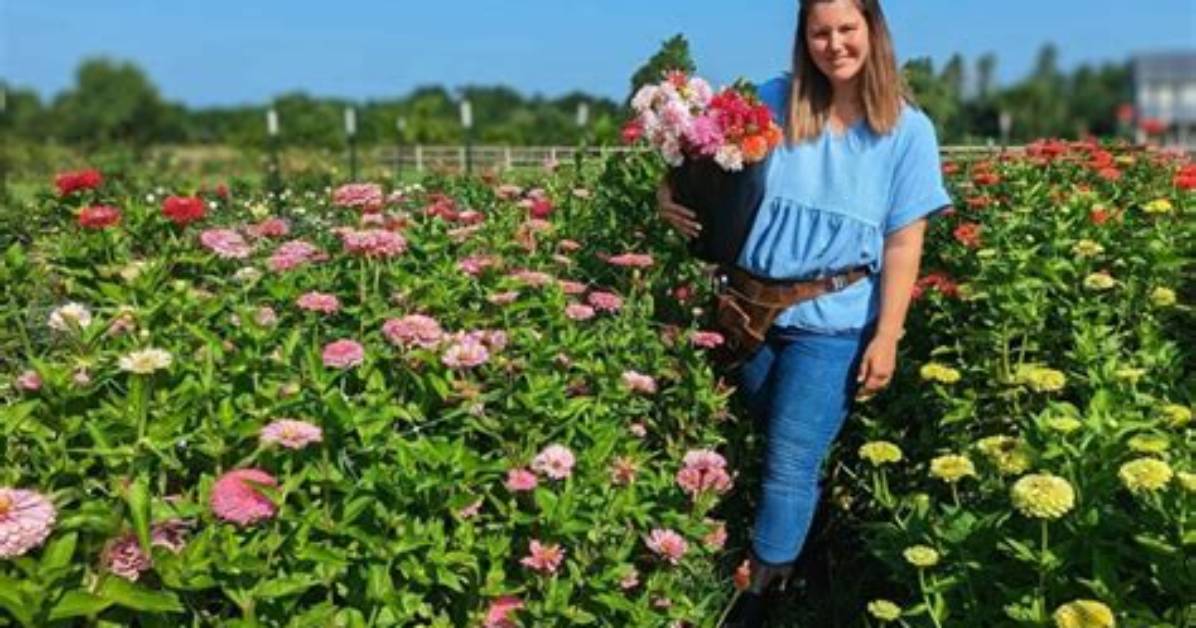 Exploring the Life and Legacy of Libby Boyce