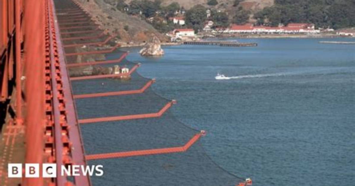 Exploring the Unspoken: Golden Gate Bridge Suicides 2024