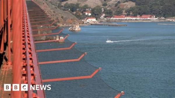 Exploring the Unspoken: Golden Gate Bridge Suicides 2024