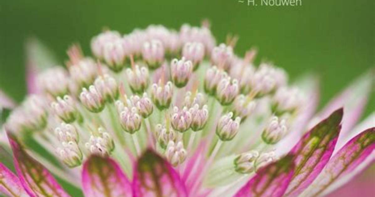 Finding Joy and Motivation: Inspirational Birthday Messages