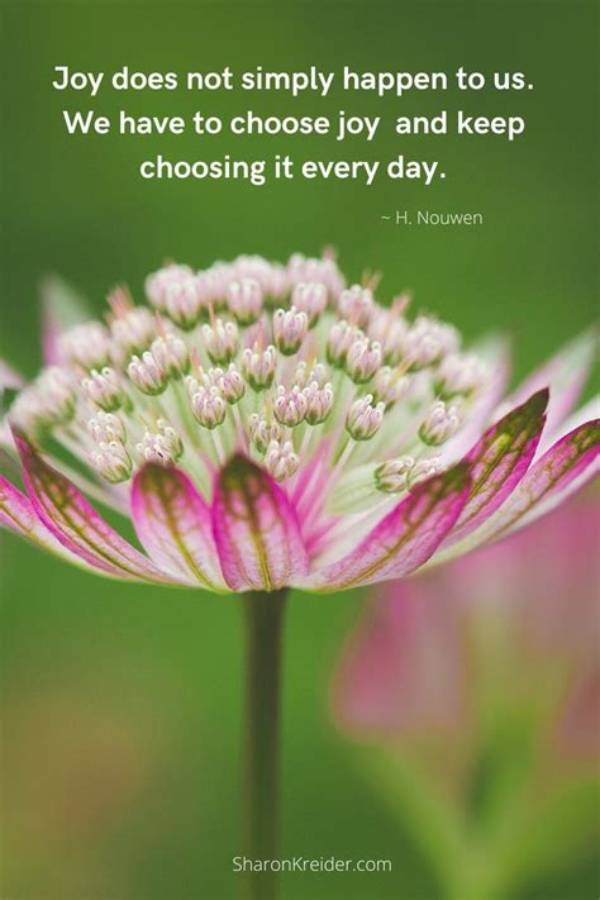 Finding Joy and Motivation: Inspirational Birthday Messages