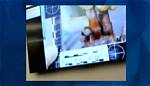 Gannon Stauch Suitcase Photos and Autopsy Report Update, Cause of Death Explained