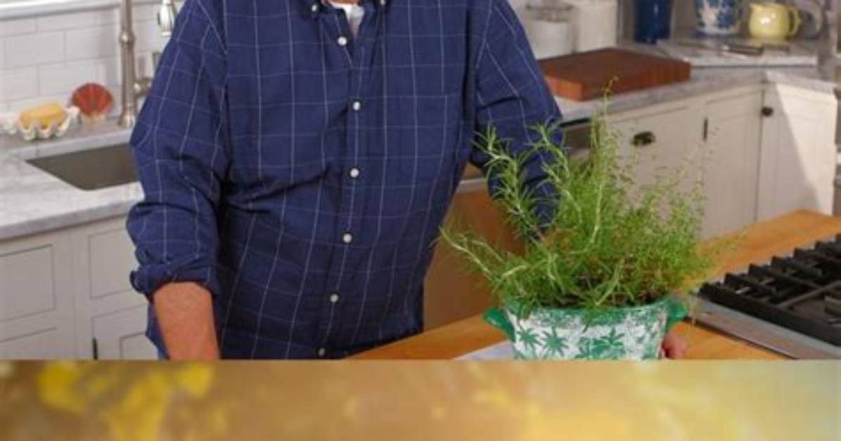 George Hirsch, a Culinary Genius - Wikipedia