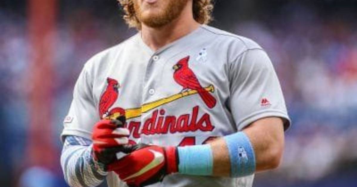 Harrison Bader Wiki: How Old Is He? Explore His Baseball Journey