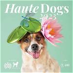 Haute Dogs! Royal Hat Designers Create Couture Canine Headpieces for Charity — See the Adorable Pics