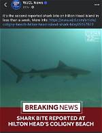 Hilton Head Shark Attack: What You Need to Know