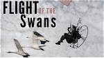 Human Swan Sacha Dench Makes a Comeback After Her Terrible Accident, Here Is What Happened to Her