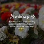 In Memoriam: Emily Eck's Legacy Lives On