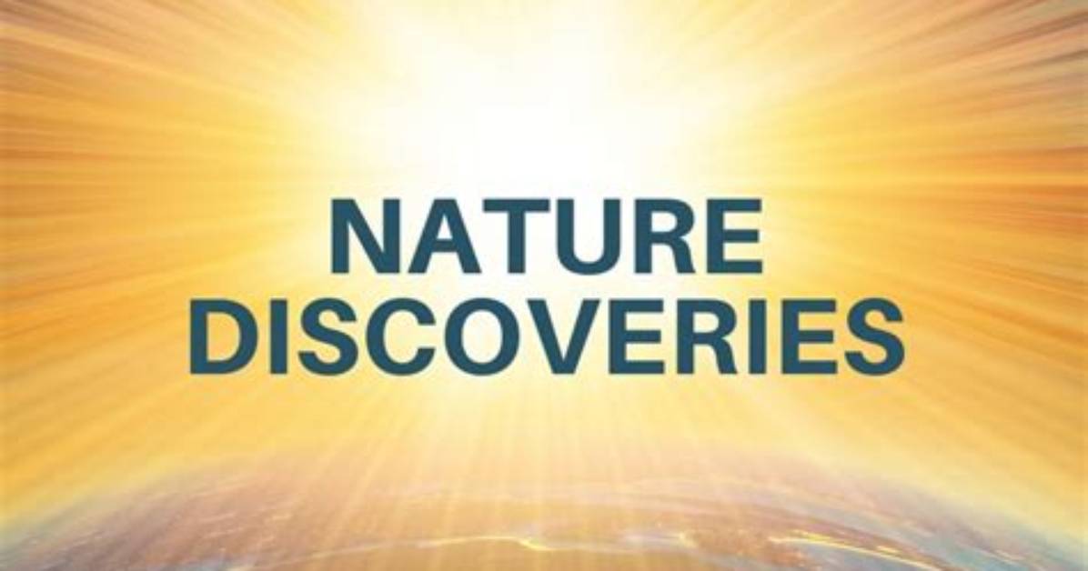 Insights and Discoveries for Runners and Nature Enthusiasts