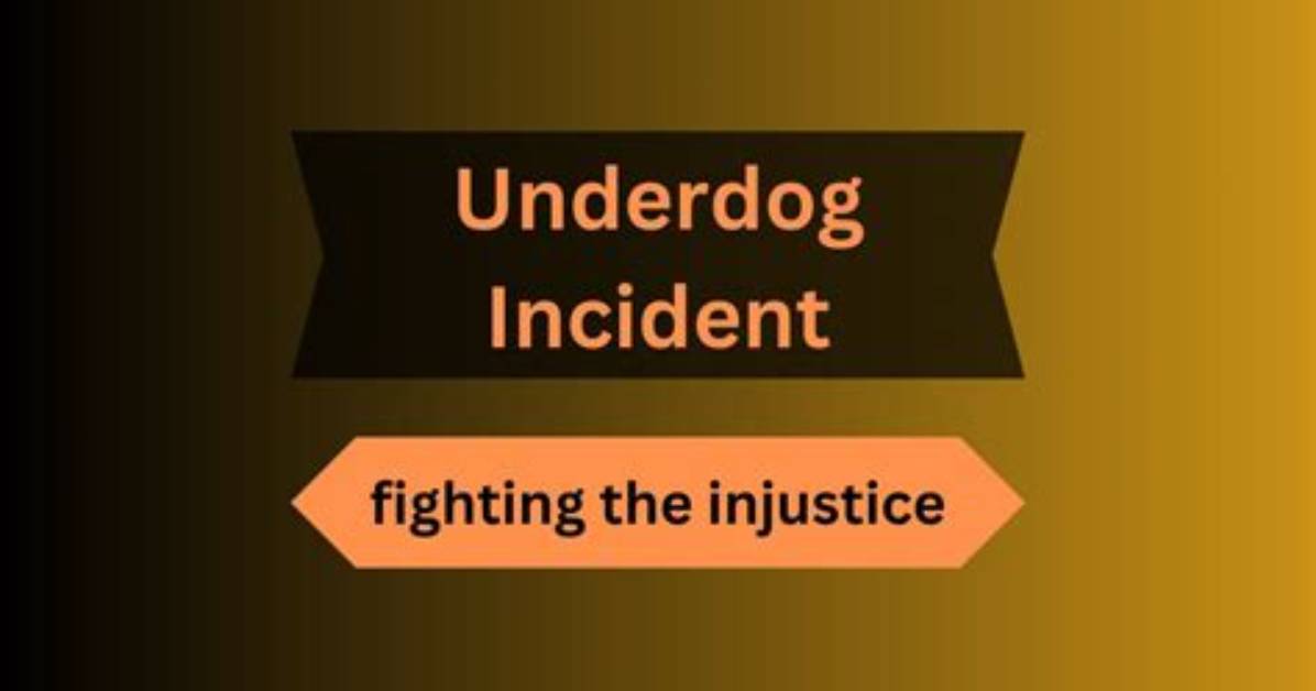 Insights into the Banging the Underdog Insadent 2022