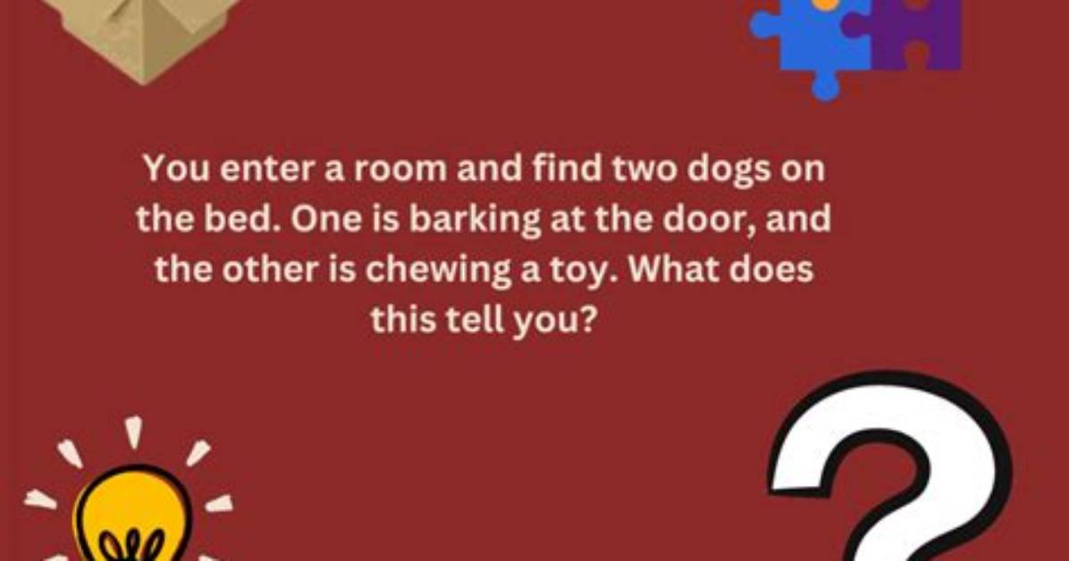 Intriguing "You Enter a Room" Riddles: Test Your Wit and Curiosity