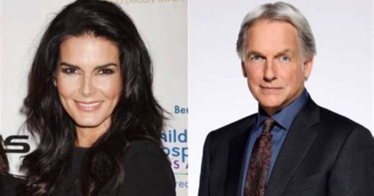 Is Angie Harmon Related to Mark Harmon or Are They Just Colleagues with Common Interest