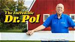 Is Doctor Pol Retiring? the Future of a Beloved Veterinarian