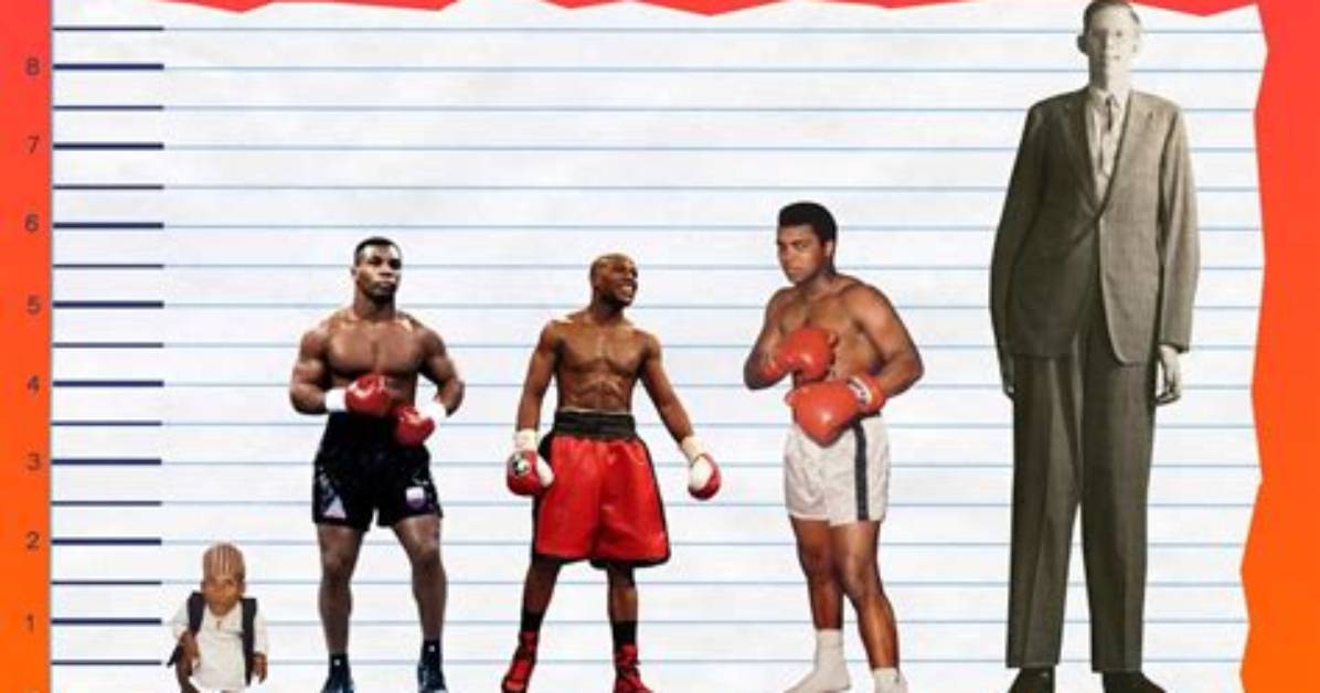 Is Mike Tyson Tall? an in-Depth Analysis of the Boxing Legend's Height