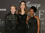 Is Shiloh Jolie-Pitt a Boy? the Truth Revealed