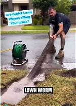 Is the Giant Lawn Worm Real or Fake? Viral Tiktok Debunked