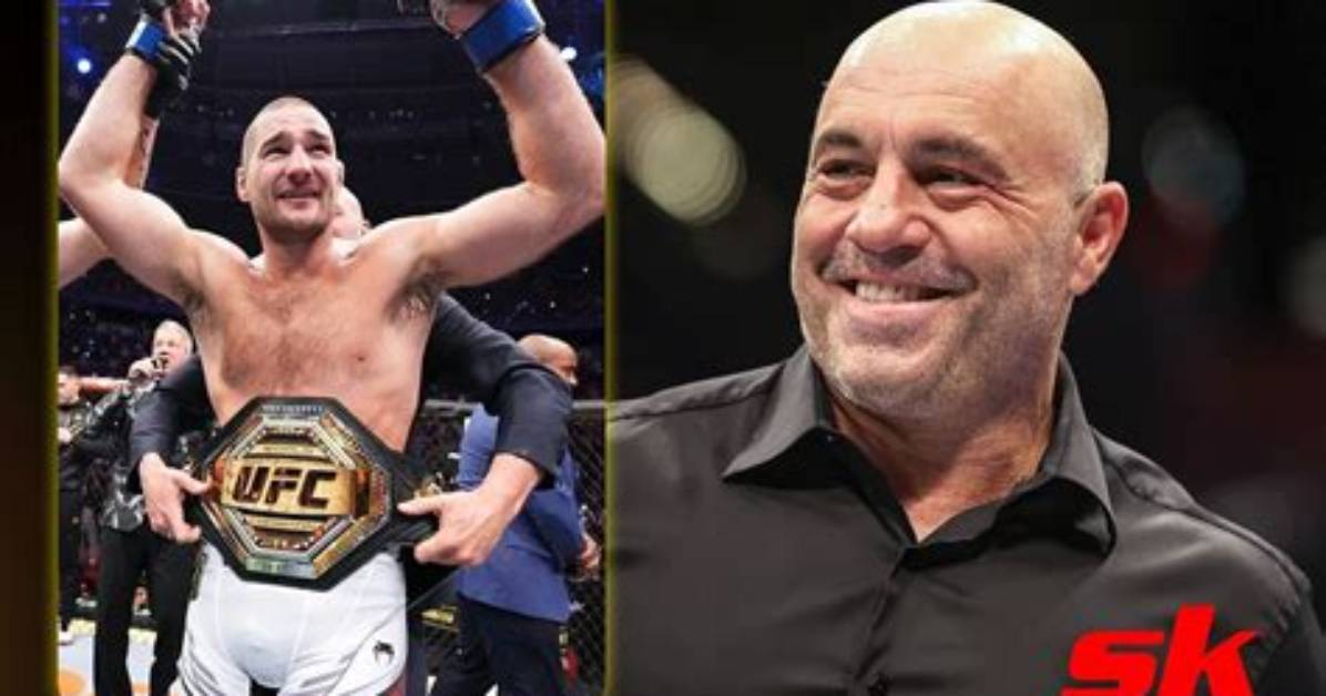 Joe Rogan's Insights on Ufc 293: a Must-Read Analysis