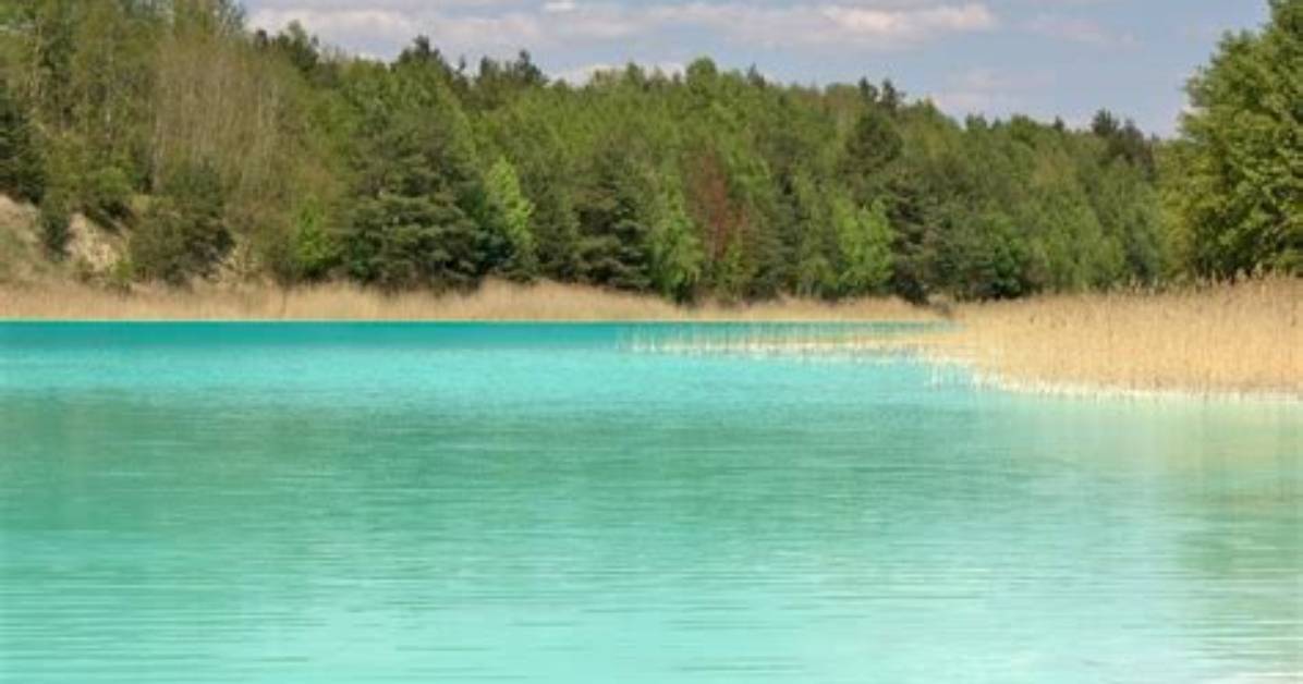 Kim Lazur: a Comprehensive Guide for Nature Lovers and Collectors
