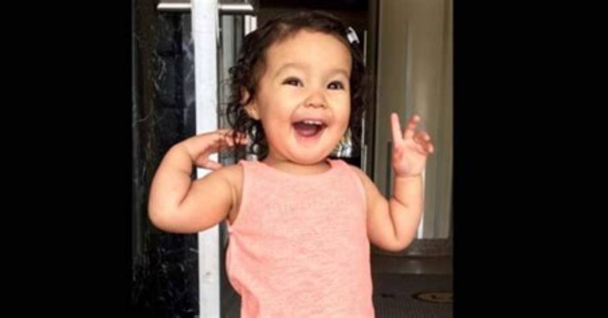 Kimiko Flynn Height, Weight, Net Worth, Age, Birthday, Wikipedia, Who, Nationality, Biography