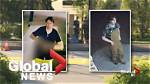 Langley Bc Shooting Suspect Is a Caucasian Man with Dark Hair: How Many People Did He Kill?