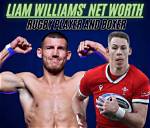 Liam Williams Height, Weight, Net Worth, Age, Birthday, Wikipedia, Who, Nationality, Biography