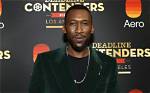 Mahershala Ali Height, Weight, Net Worth, Age, Birthday, Wikipedia, Who, Instagram, Biography