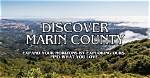 Marin County's Trusted Appraisal Experts