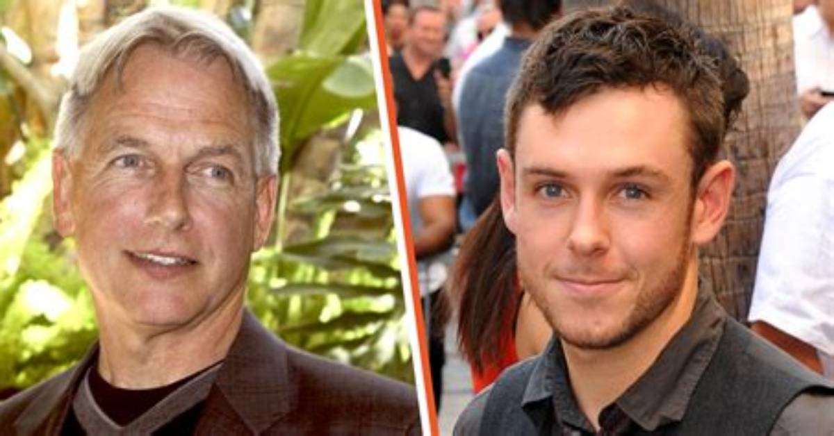 Mark Harmon's Family Life Revealed