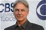 Mark Harmon: the Legacy Beyond the Rumors of His Demise