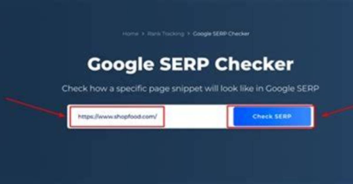 Mastering the Art of Checking Google Positions