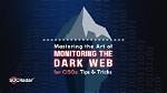Mastering the Art of Monitoring Your Website's Position on Google