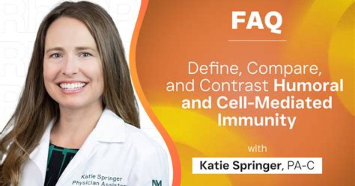 Meet Katie Springer: an Expert in [Field of Expertise]