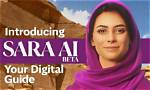 Meet Sara Frank: Your Guide to Digital Marketing Success