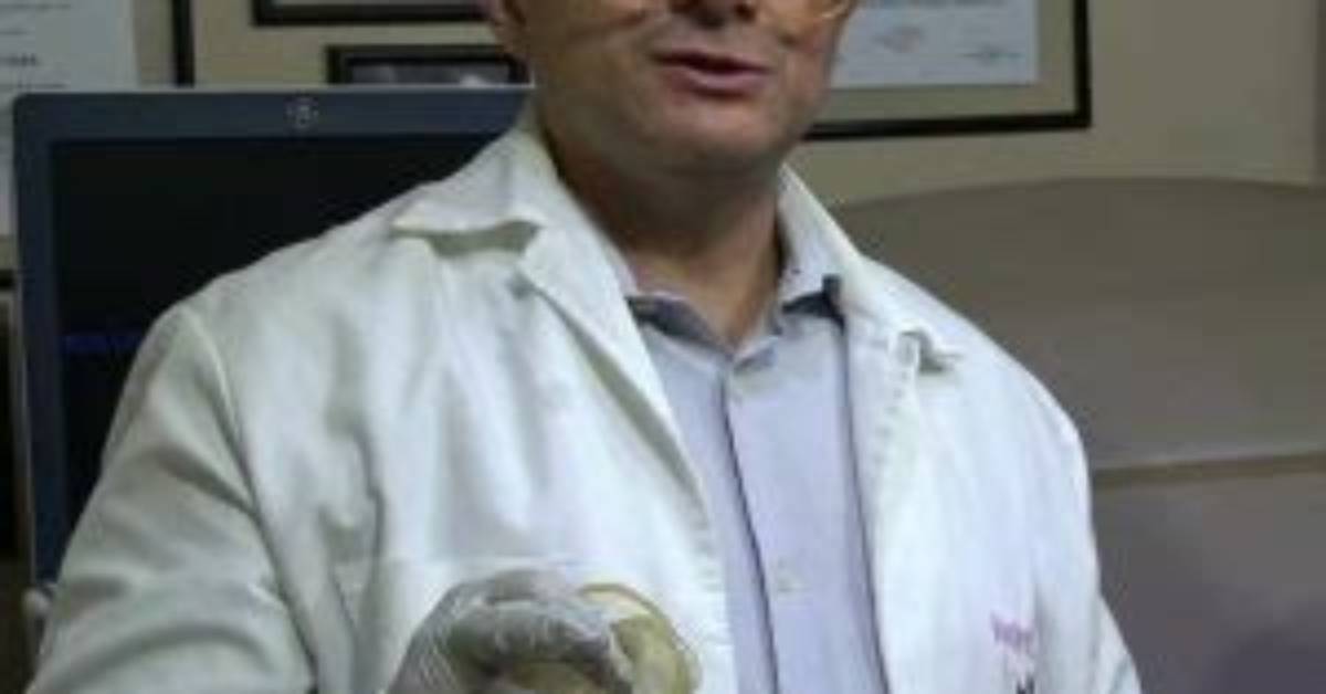 Meet the Renowned Artist: Gustavo Quiros Licona