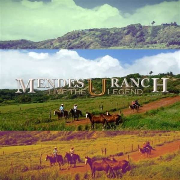 Mendes Ranch: a Hidden Gem of the Countryside