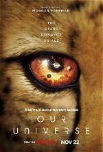 Netflix’s ‘Our Universe’ Explores How Animals Have Shaped the World — with Morgan Freeman’s Help