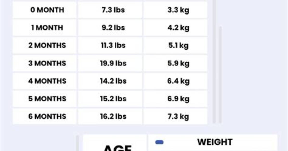 Nicolai H%C3%B8Jgaard Height Weight Net Worth Age 1200. Jpg