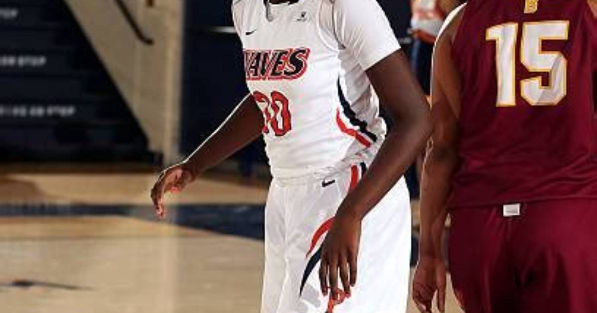 Olivia Ogwumike's Journey of Triumph and Impact