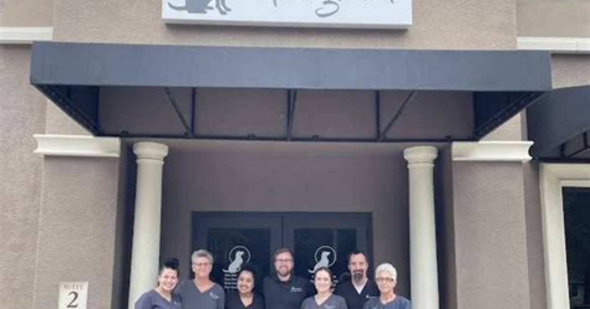 Palm Harbor's Trusted Emergency Vet for Your Pet's Critical Care